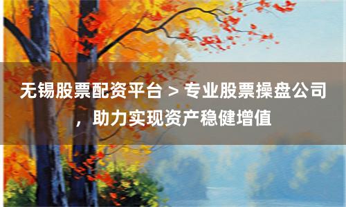 无锡股票配资平台 > 专业股票操盘公司，助力实现资产稳健增值