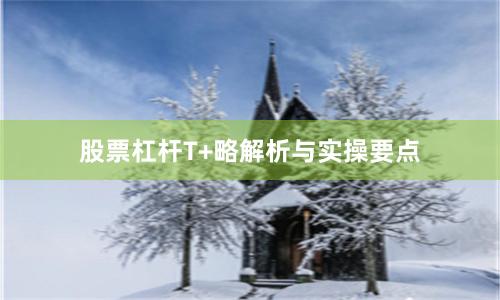 股票杠杆T+略解析与实操要点