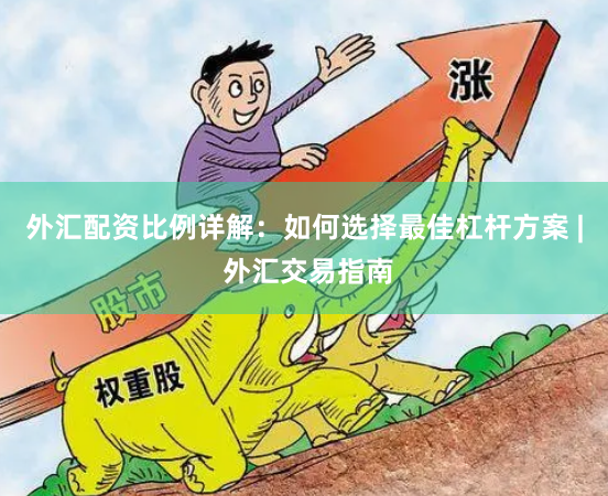 外汇配资比例详解：如何选择最佳杠杆方案 | 外汇交易指南